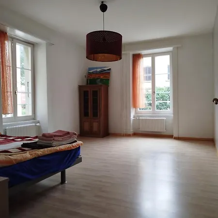 Apartamento Meiringen Holiday *