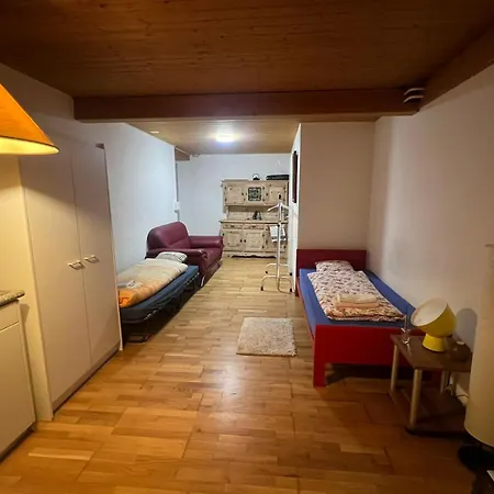 Apartamento Meiringen Holiday *