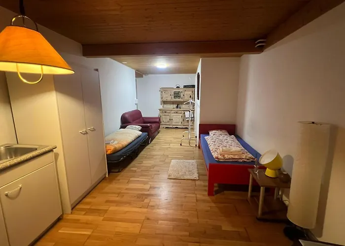 Apartamento Meiringen Holiday *